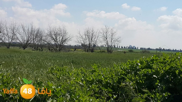 roben tabee3ar (16).JPG